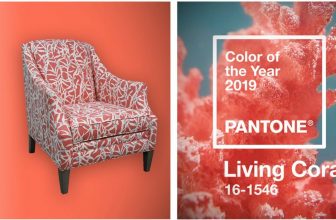 Ravviva la tua casa con il sontuoso corallo vivente